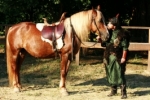 Időutazás: a lovas és a ló is honfoglalás-kori ruhát, illetve szerszámot visel